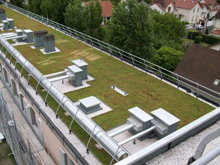 Toit végétalisé Île-de-France