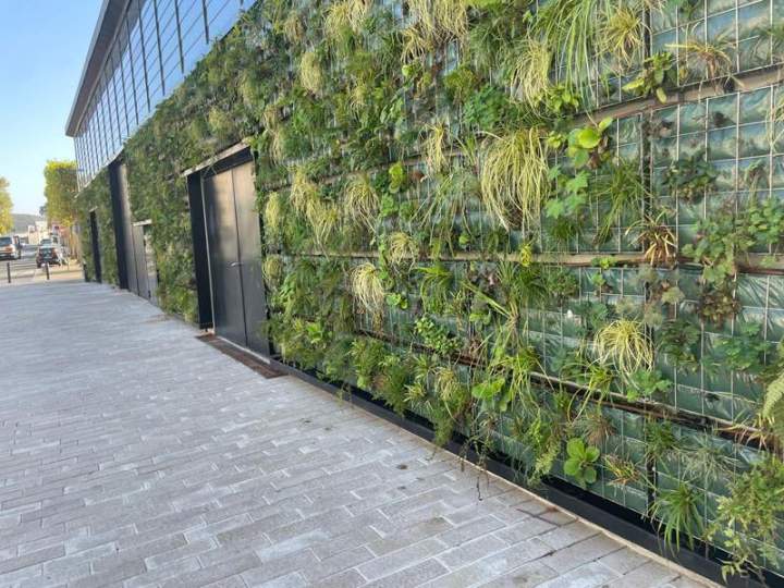 Aménagement de toiture végétalisée Île-de-France