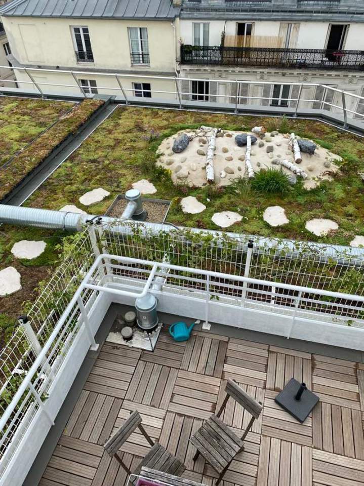 Toiture végétale extensive Île-de-France