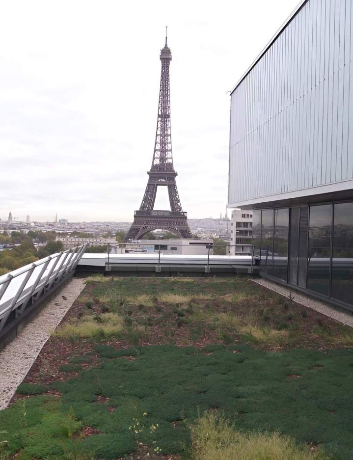 Toiture végétalisée Île-de-France